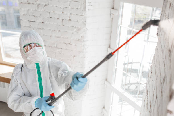 Mold Odor Removal Services in Middlefield, OH